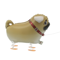 Walking Pet Pug